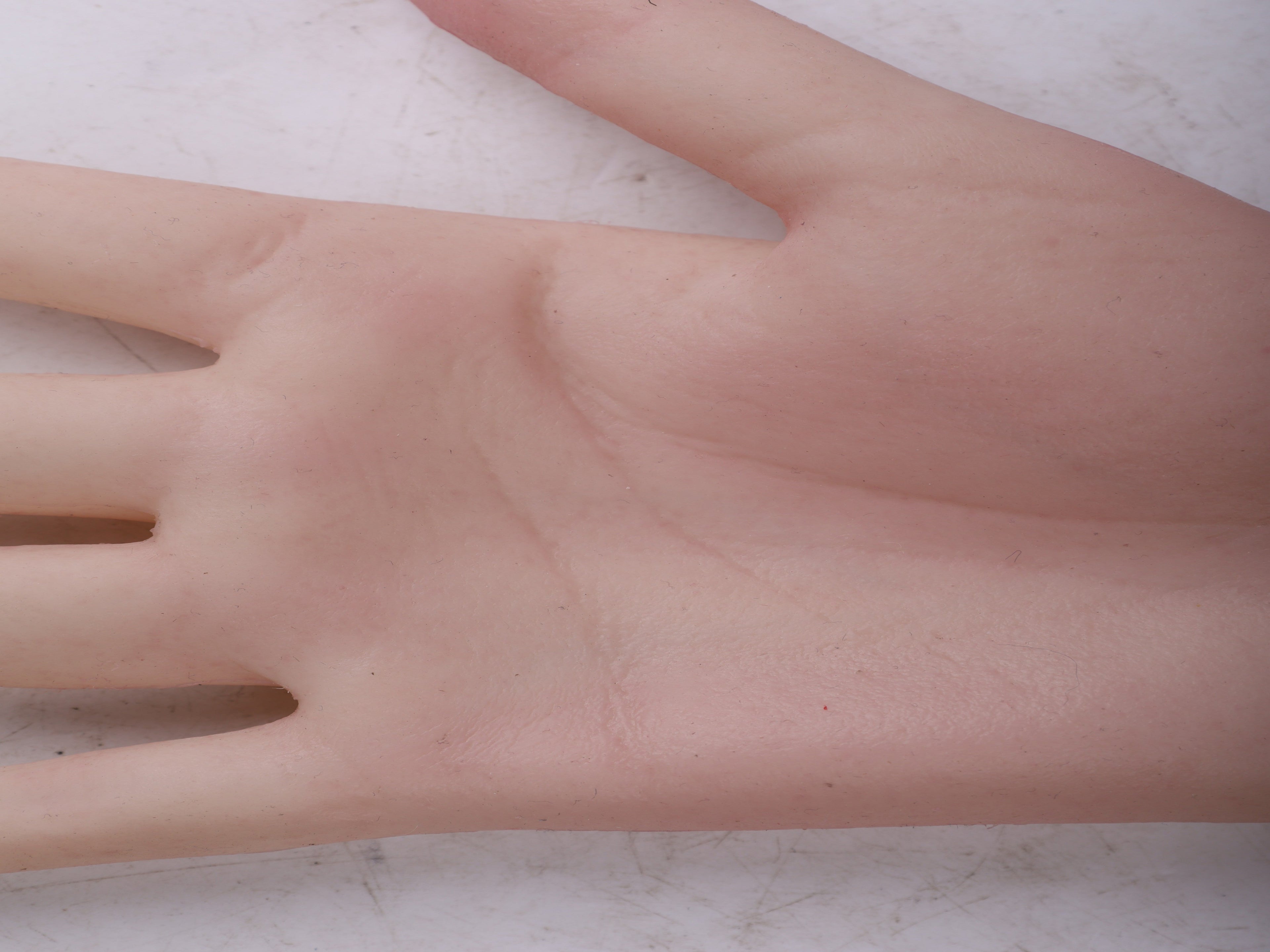 Ultra Realistic Female Silicone Hands with Forearm – Lifelike Wearable Hands for Full Disguise, Cosplay & Film