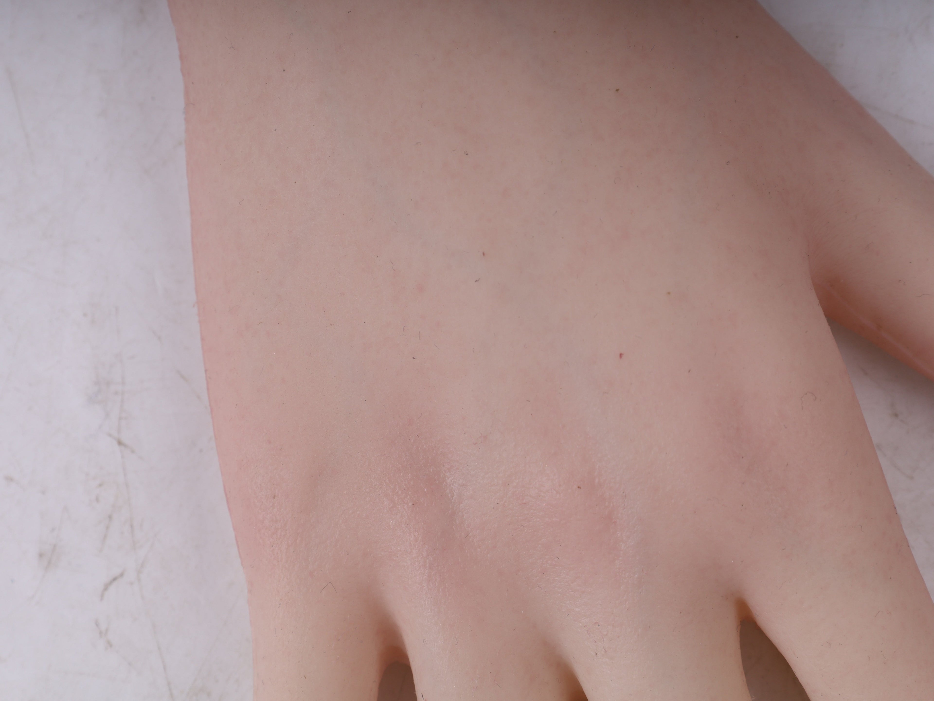 Ultra Realistic Female Silicone Hands with Forearm – Lifelike Wearable Hands for Full Disguise, Cosplay & Film